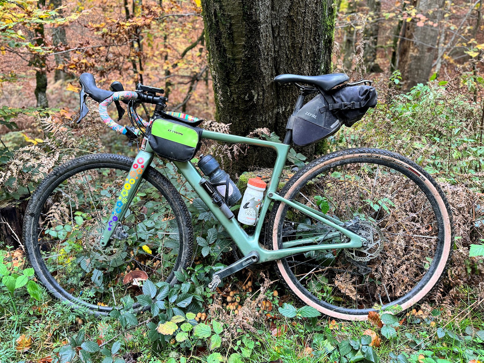 A pale green gravel bike with two drinks bottles leaning against a tree. It has a medium saddle bag, a yellow/black frame bag, and multicolour bar tape. The front fork is covered in colourful flower stickers. Saša the green gravel bike